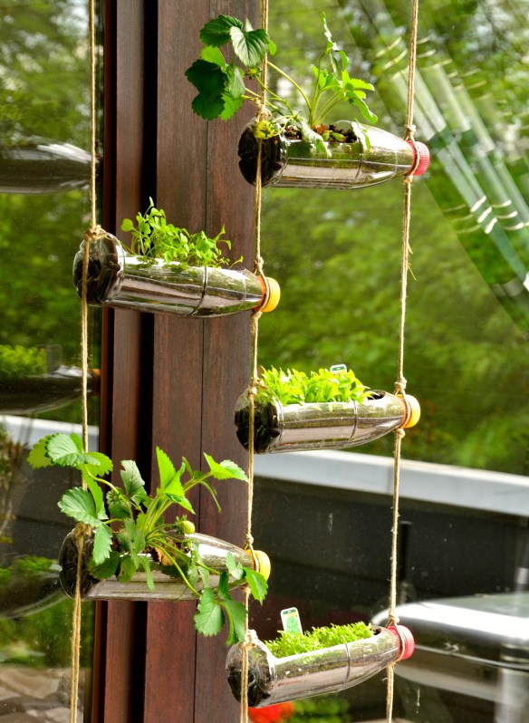 Vertical Gardening